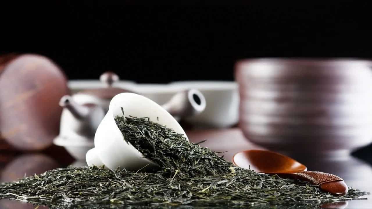 Tracing Origins And History of Green Tea  