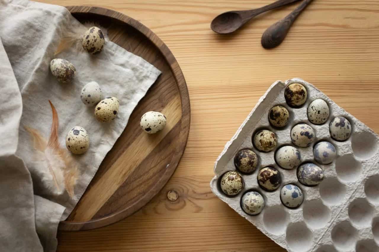 5 Varieties of Edible Eggs You Didn't Know Before