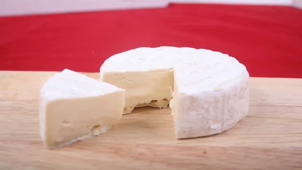 Everything about Brie: The Solid Yet Creamy Cheese