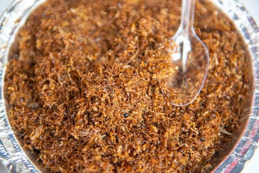 Tried This Unusual Red Ants Chutney From Chhattisgarh?