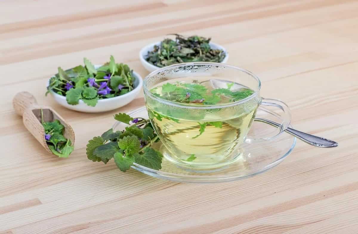 International Tea Day; Digestive Herbal Teas To Have Post Dinner