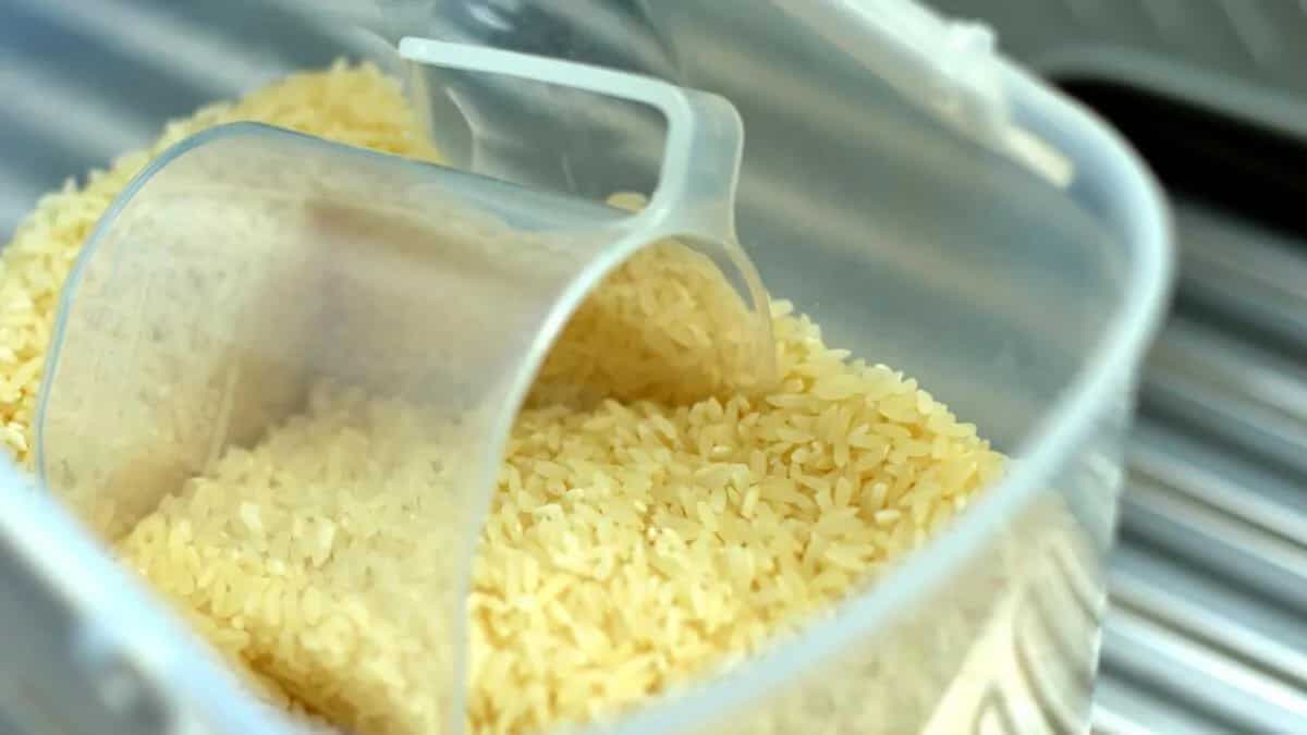 How To Remove Bugs From Rice