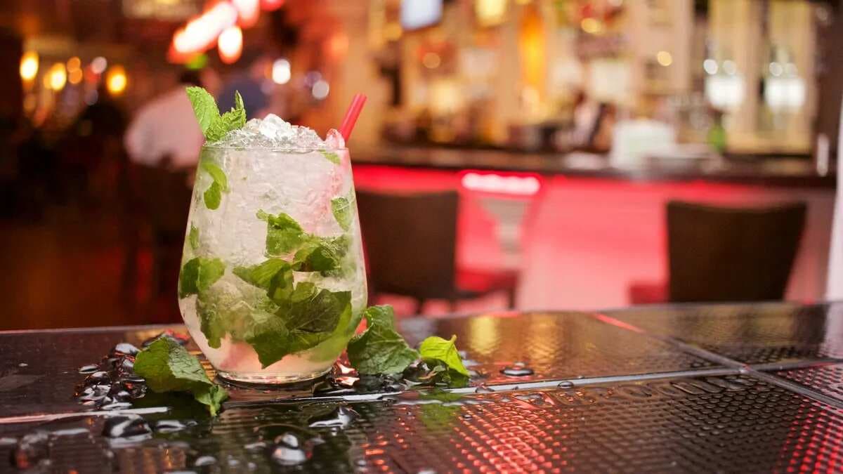 Here Is The List Of Best Rums For A Perfect Mojito