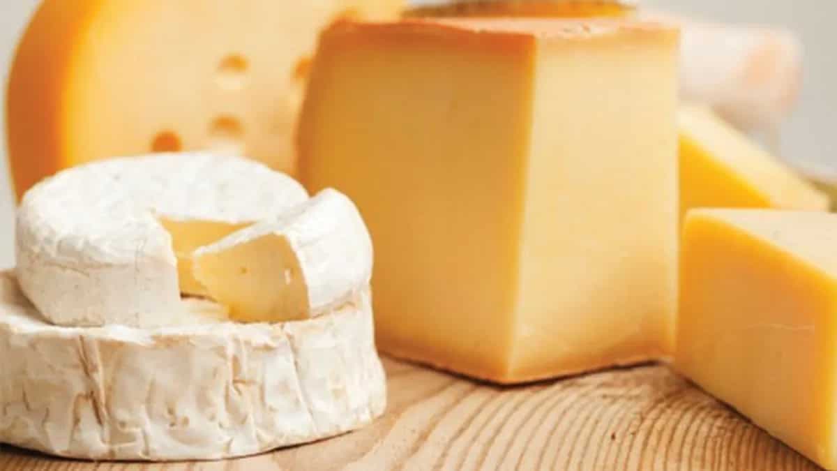 World’s Most Expensive Pule Cheese Was Developed By Accident?  