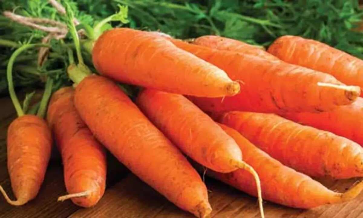 International Carrot Day: Do You Have '24 Carrot Gold' In Your Diet?