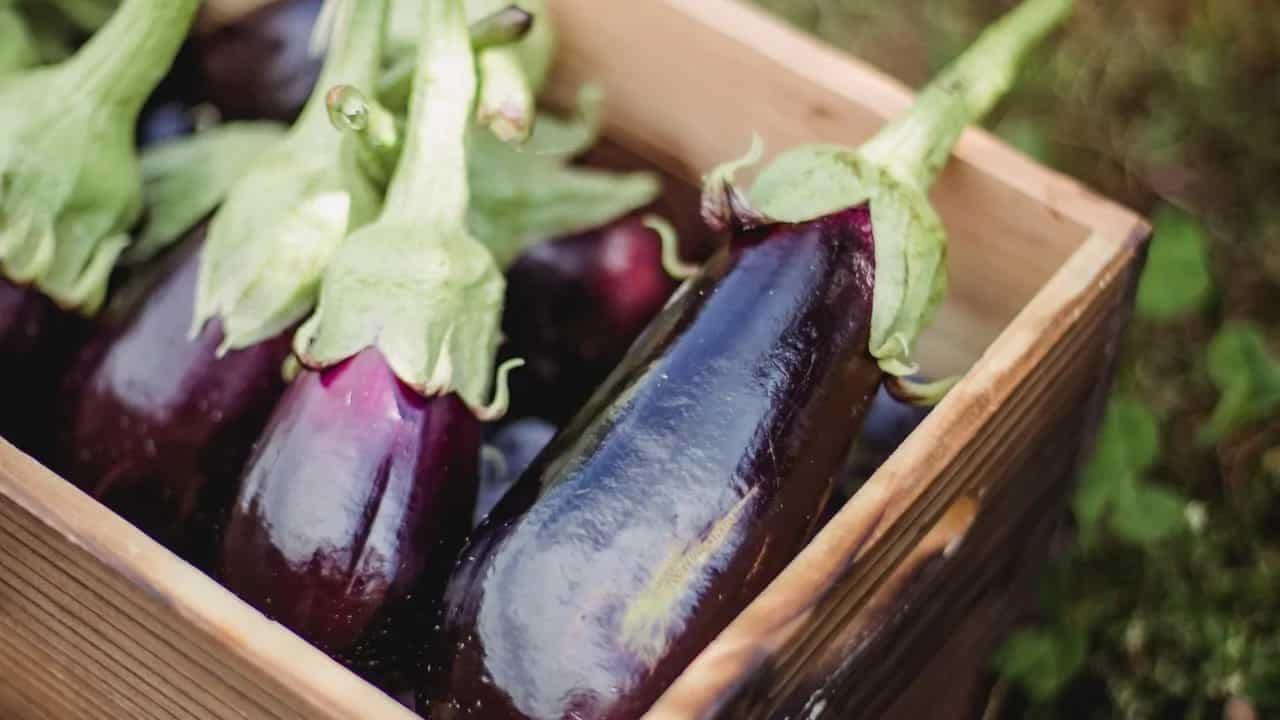 Italian Eggplant Parmesan: The Ideal Comfort Food Of All Time