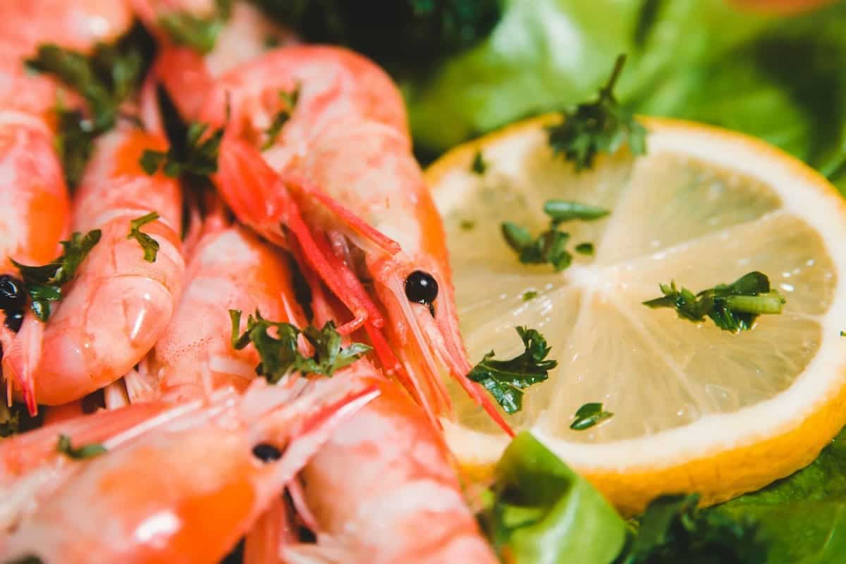 What Are The Differences Between White, Brown And Pink Shrimps?