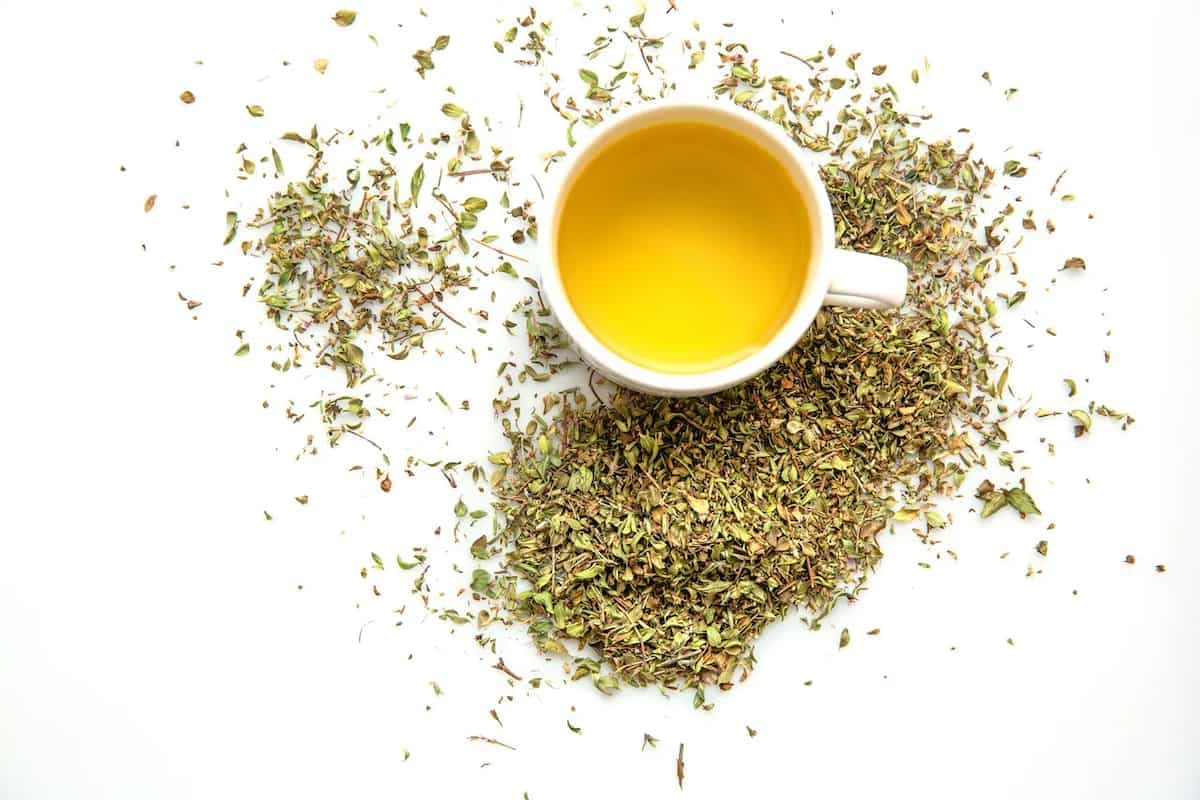 Oregano Tea 101: A Guide To Its Benefits, History, And Flavour