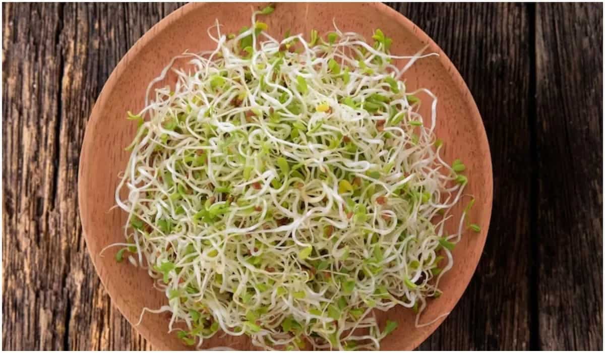 8 Easy Dishes You Can Make At Home With Sprouts