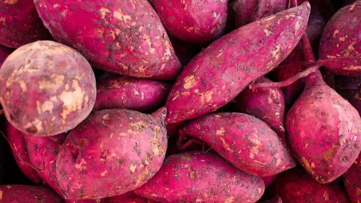 FSSAI Shares Handy Tips To Identify Adulterated Sweet Potatoes