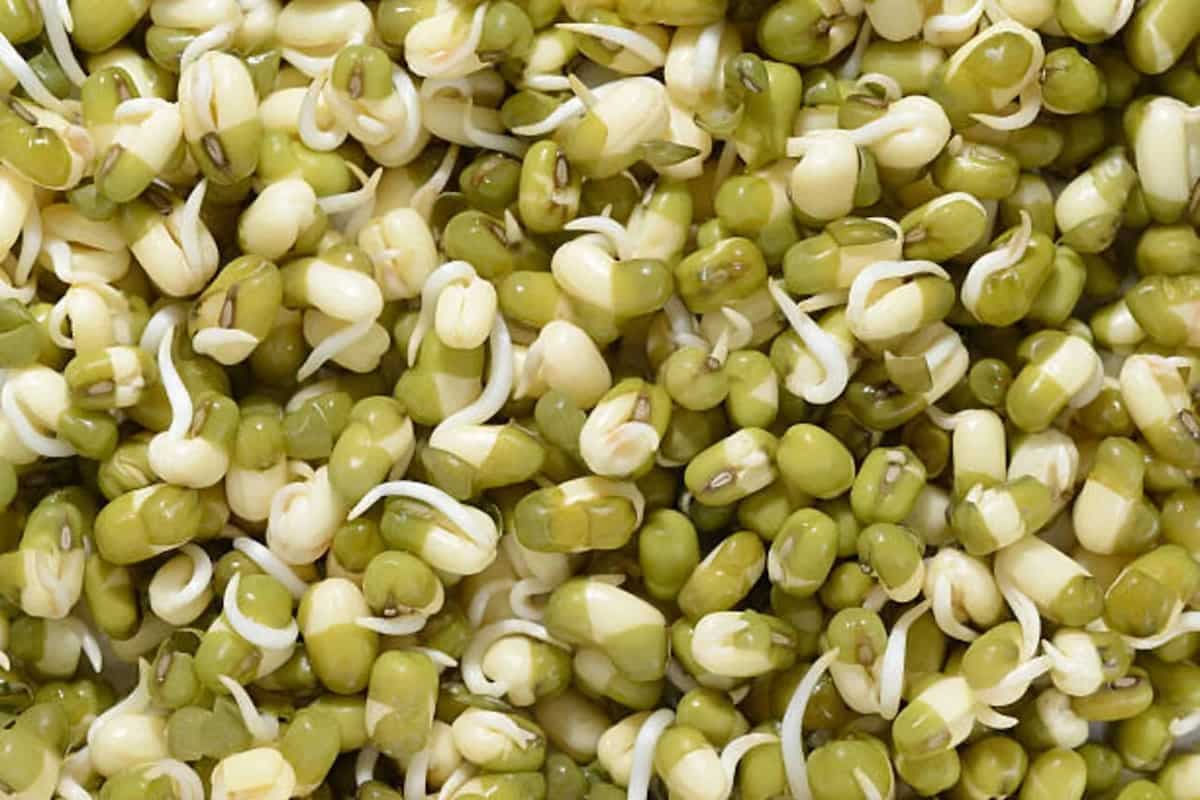 Sprouted Green Gram For Winter: Essential Health Benefits
