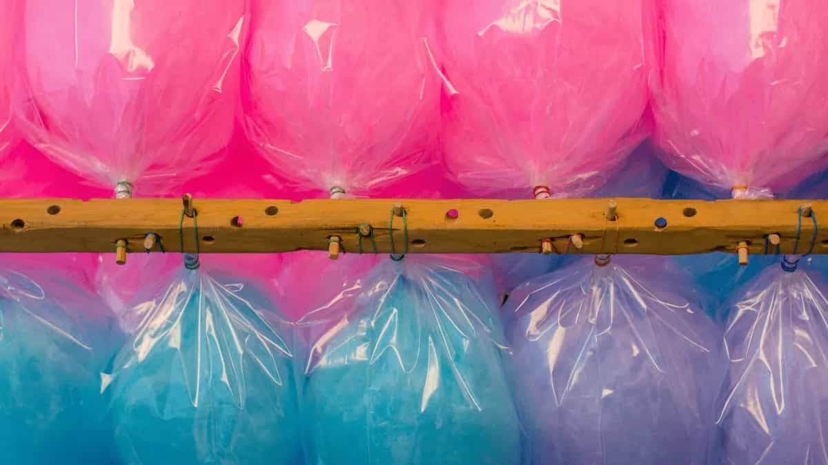 Puducherry Bans Cotton Candy Due To Presence Of Toxic Chemical