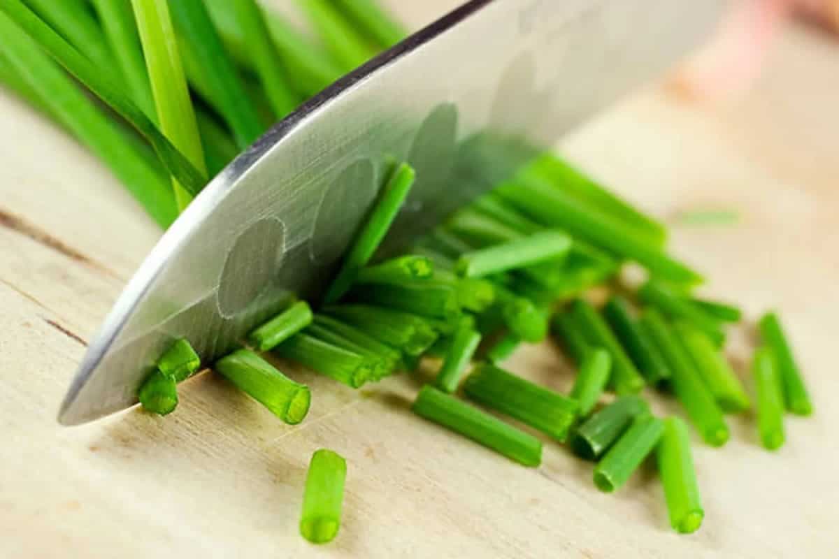 Chives Vs. Green Onions: Exploring The 4 Key Differences