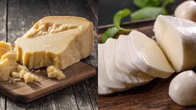 Parmesan Vs. Mozzarella: Know The Key Difference 