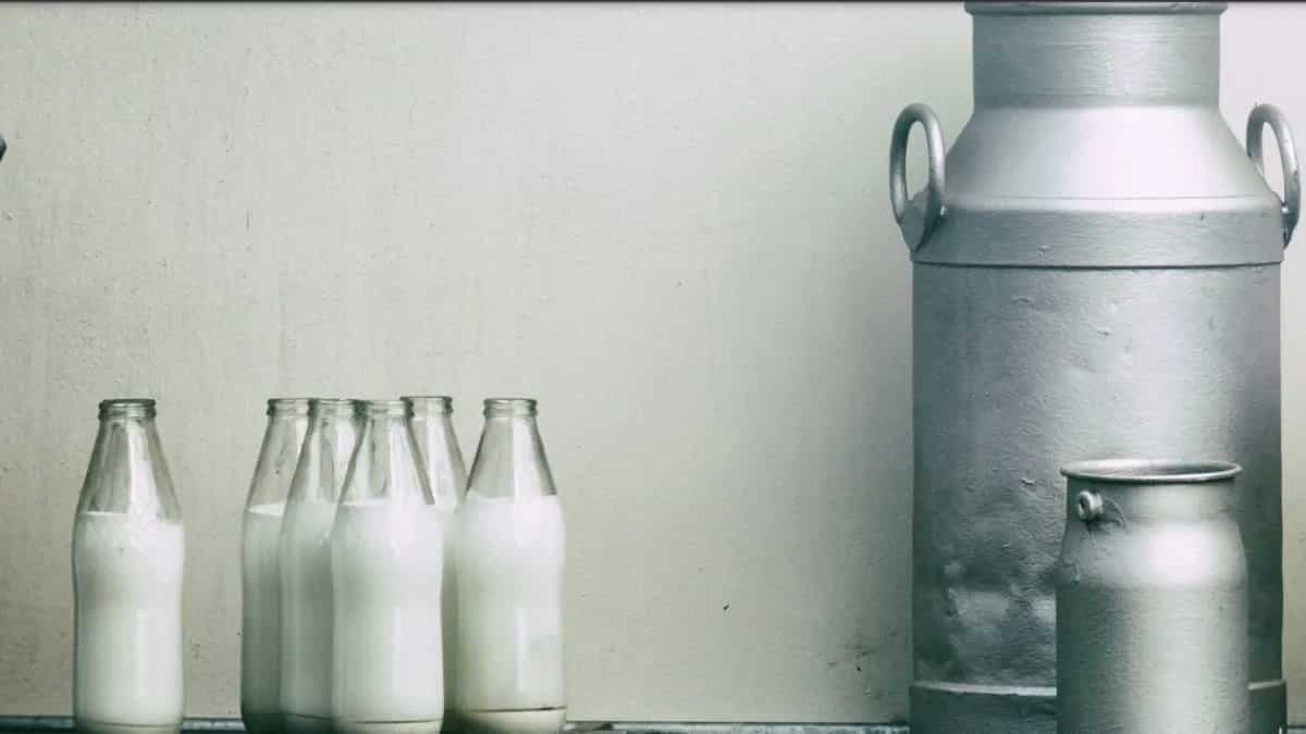 The White Revolution In India That Created A Milk History