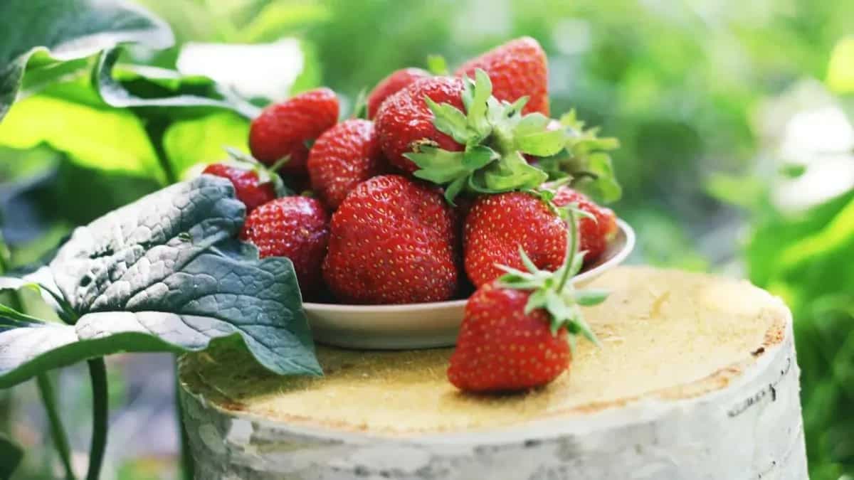 How Do You Grow Strawberries In Home Garden? Tips And Tricks