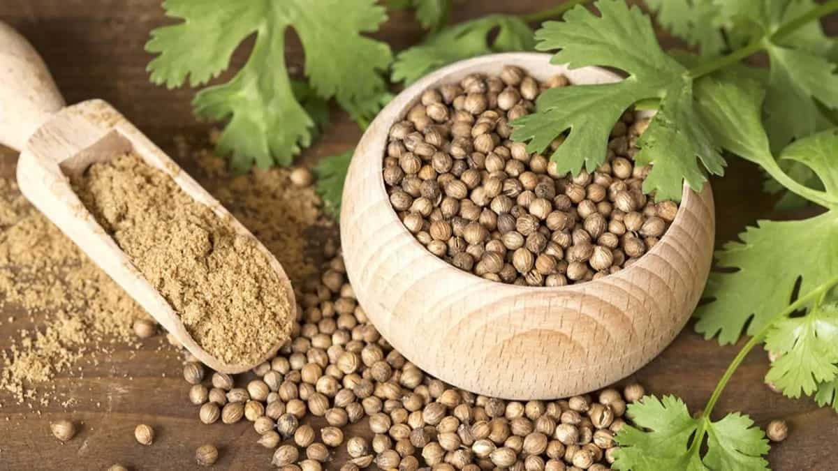 Coriander Seeds Vs Fresh Corander Leaves: Tips To Use Them