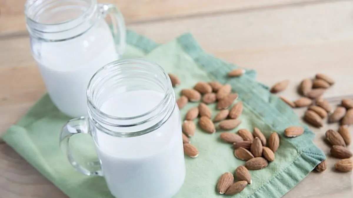 From Almond To Coconut, Your Guide To Popular Plant-Based Milks