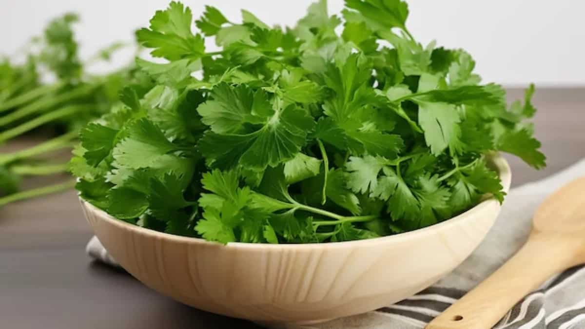 Top Tips To Keep Coriander (Cilantro) Fresh For Days