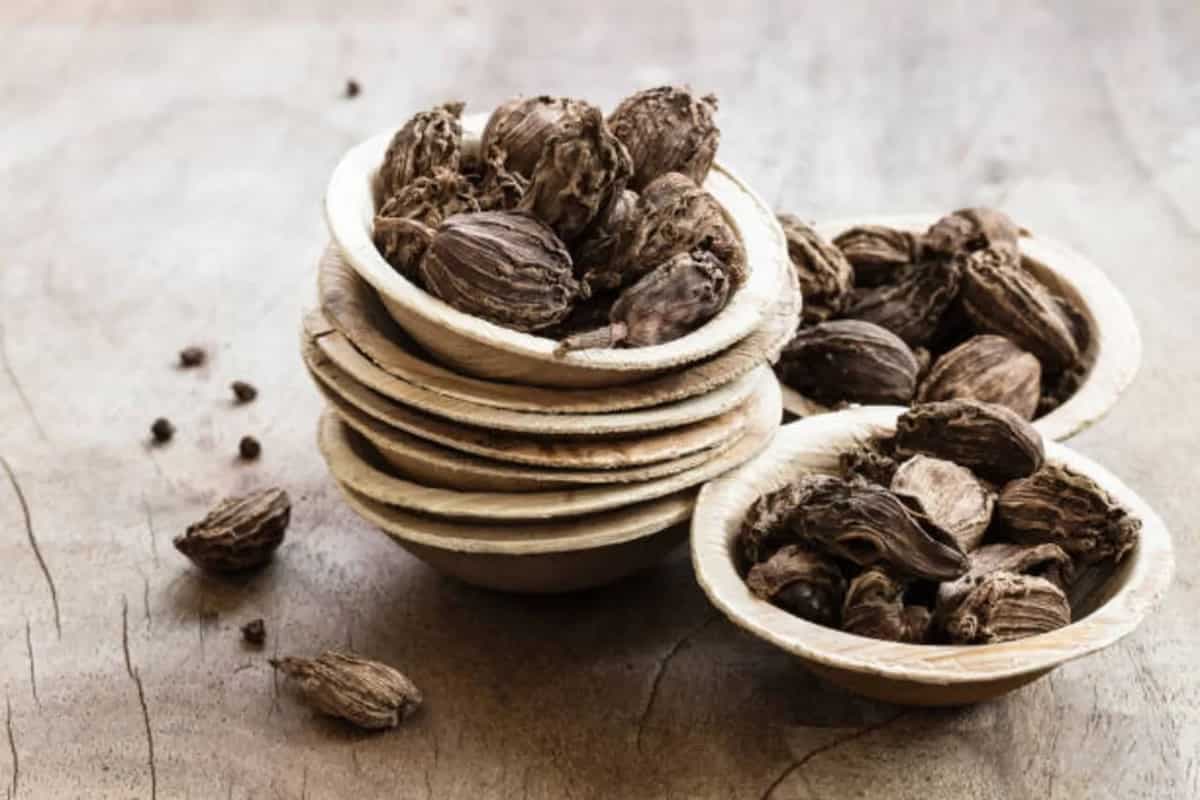 Black Cardamom: The Flavours And Uses Of This Smoky Spice