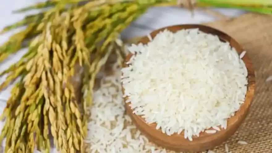 Here's Why You Should Avoid Cooking Rice In An Air Fryer