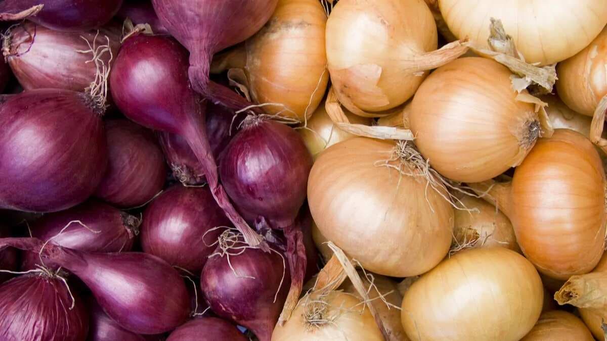 Onion Shortage Hits Hard: Best Substitutes To Use 