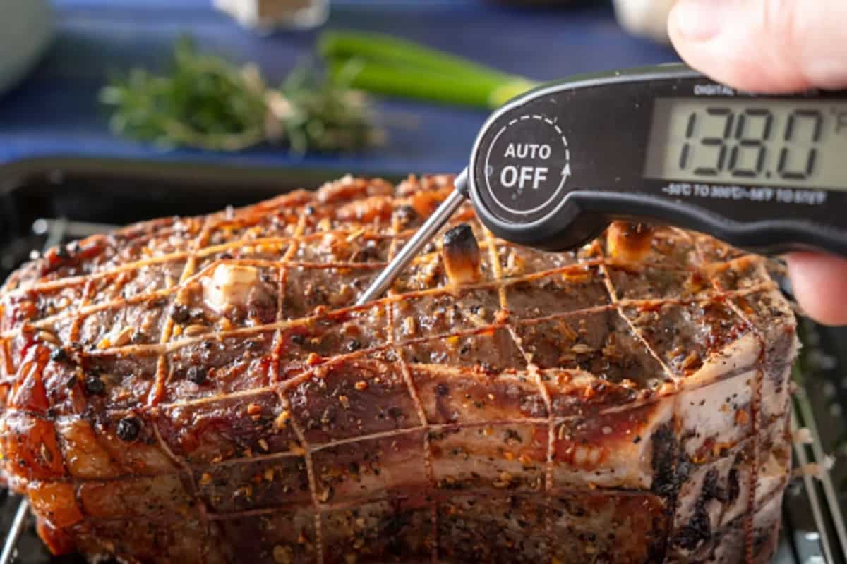 What Is A Meat Thermometer? Here’re Its Uses And Applications