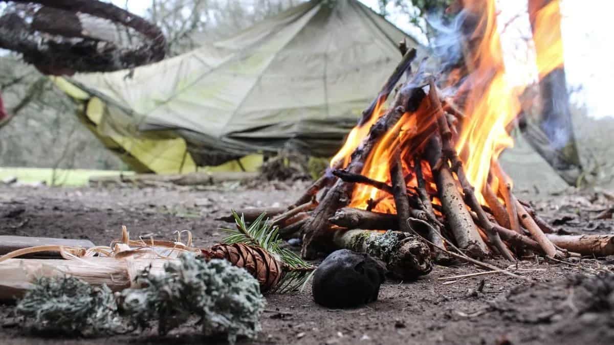 The Ultimate Camping Food Checklist: Must-Have Items 