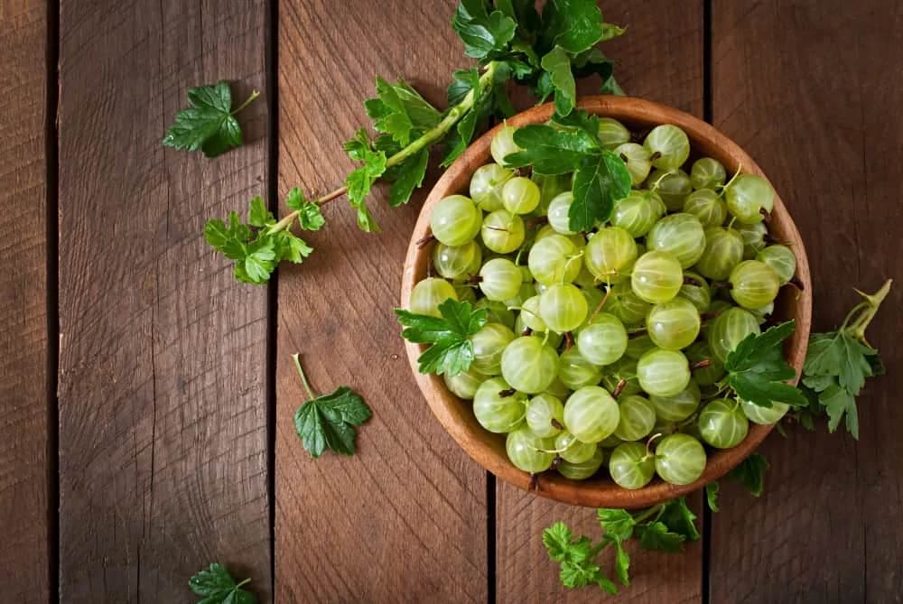 The 5 Ultimate Amla Winter Dishes You Need to Try