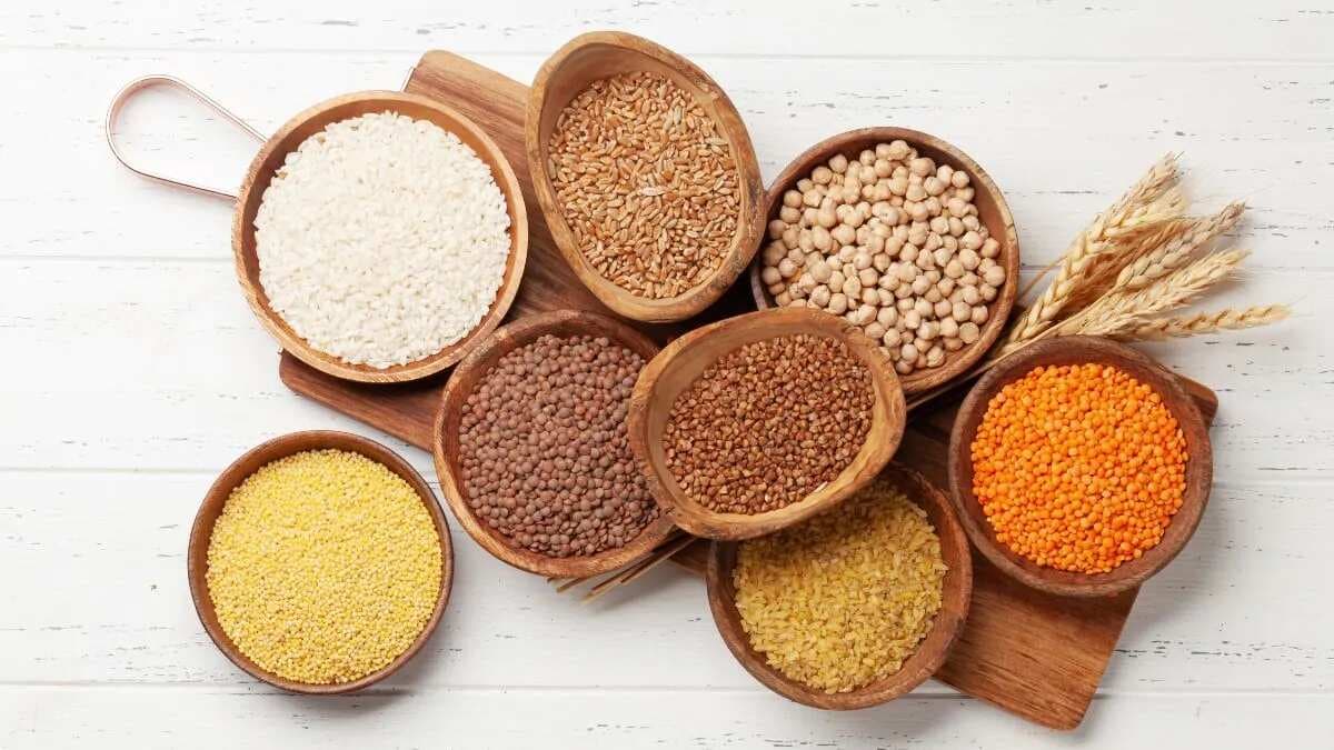 Indian Gov. Launches MIIRA, A Global Millet Research Program