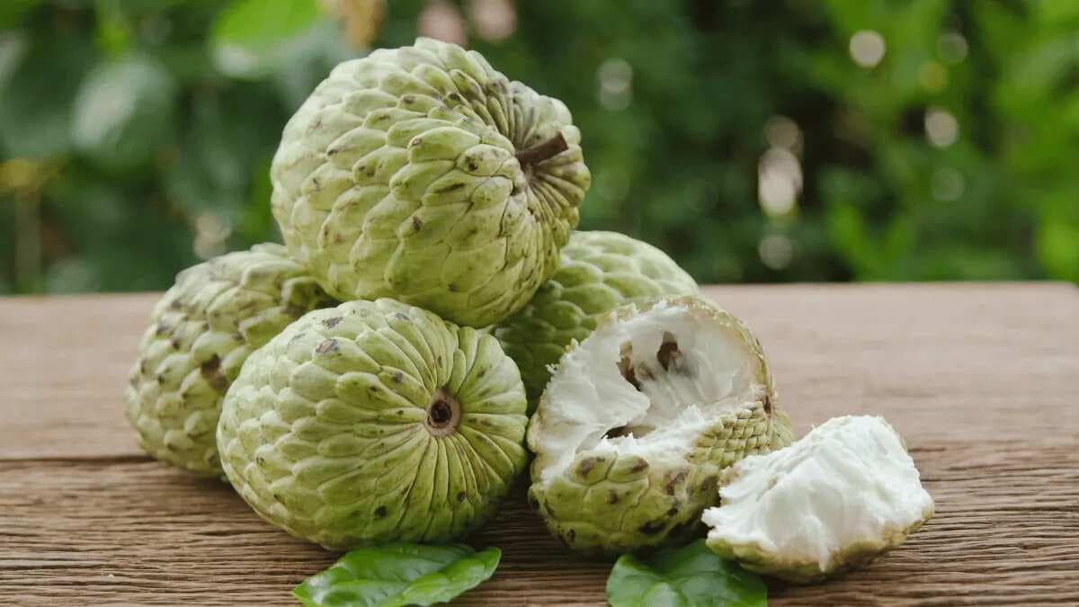 8 Indian Desserts Featuring The Creamy Goodness Of Custard Apple