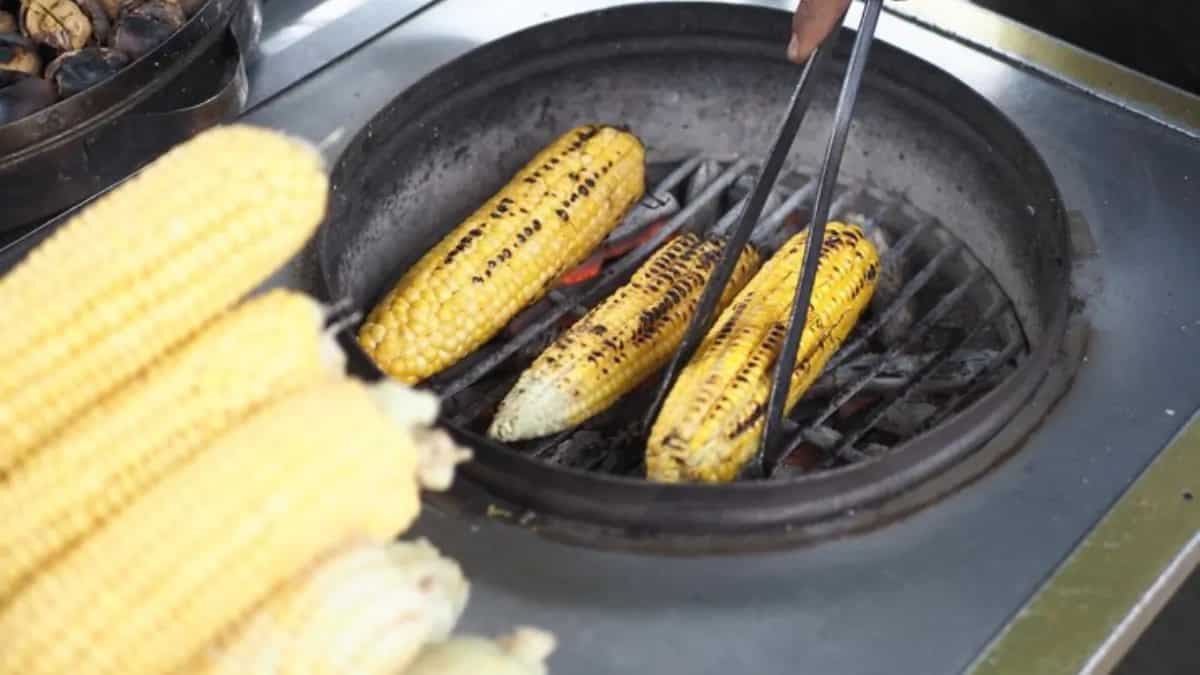 Corn For Great Outdoors: 6 Easy Recipes To Try For Summer Trips