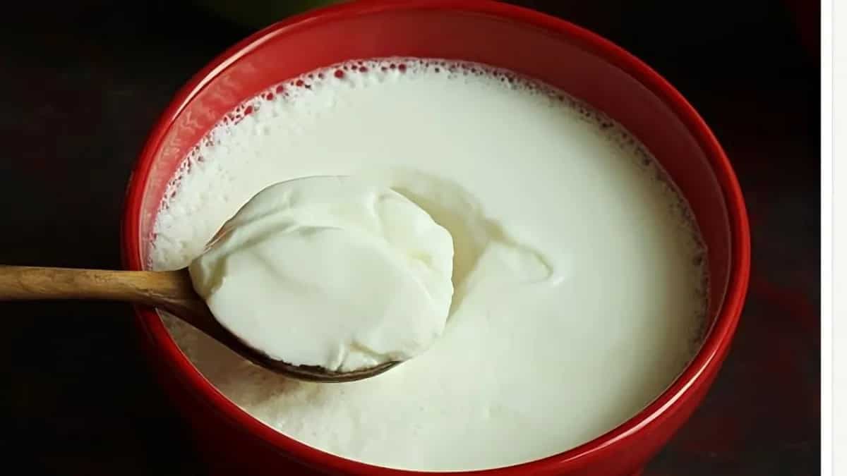 5 Simple Tips Will Help You Set Thick Curd In No Time 