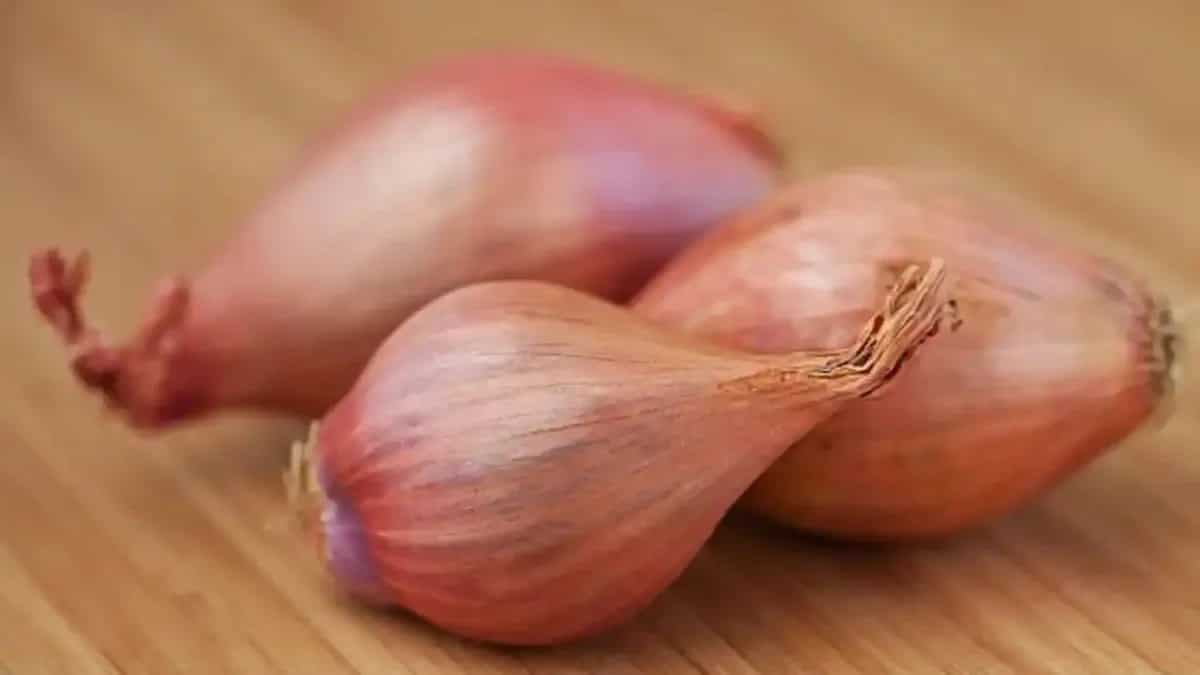 How To Grow Shallots From Seeds In Your Backyard