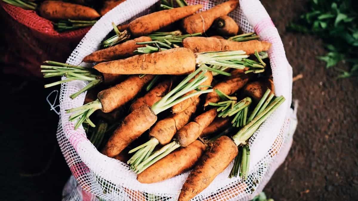 Kitchen Tips: 6 Hacks To Store Carrots Fresh For Longer 