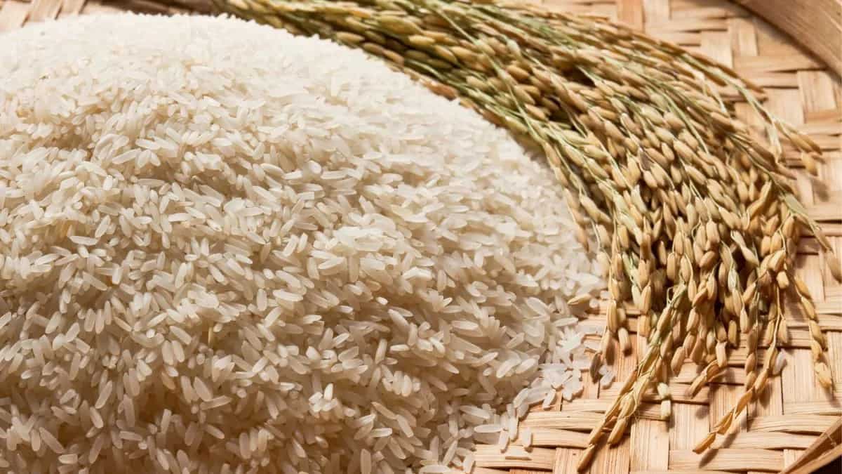 Exploring 7 Of The Most Popular Rice Grains In The World