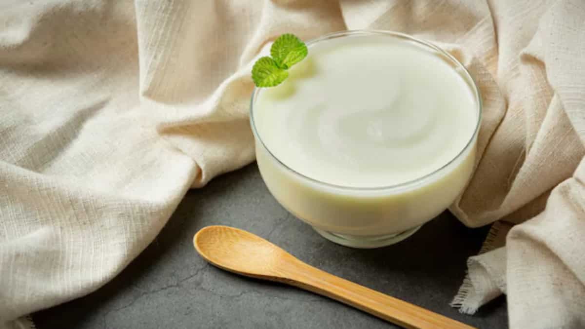 From Raita to Lassi: Yoghurt's Many Uses in Indian Cuisine