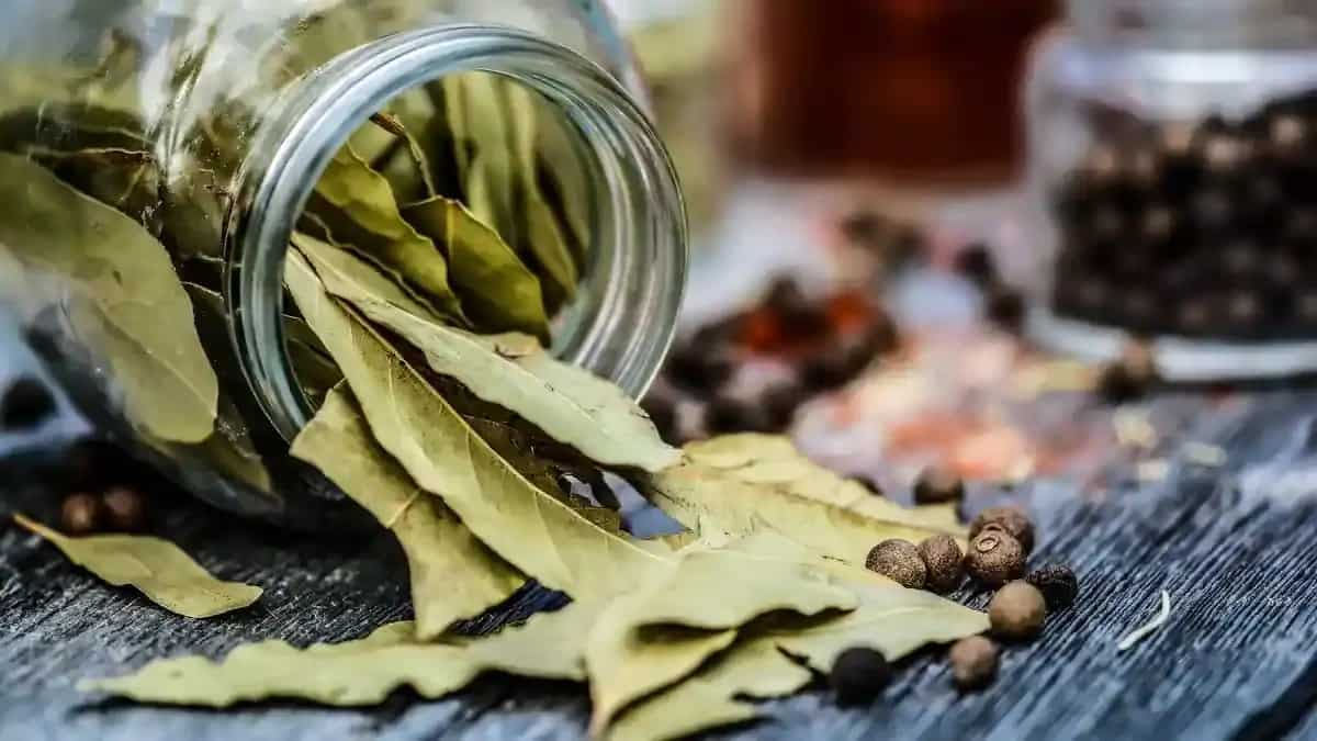 Is The Indonesian Bay Leaf The Same As Indian Tejpatta?