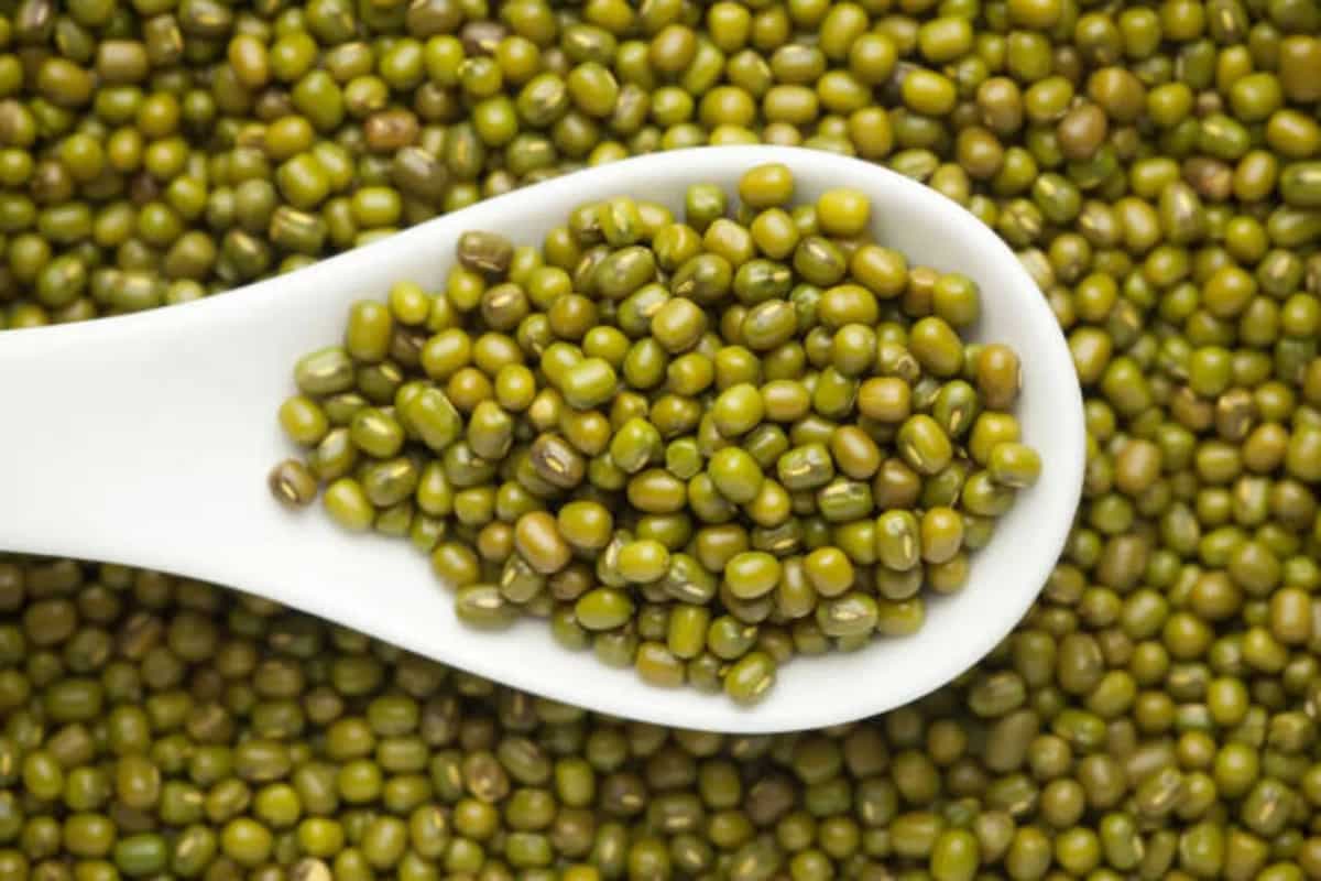 Top 6 Reasons To Add Green Mung Beans To Your Diet