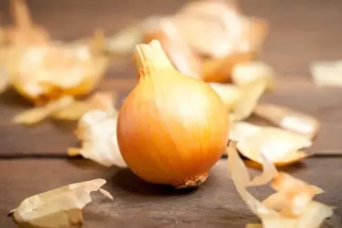 The 8 Surprising Health And Other Benefits Of Onion Skin