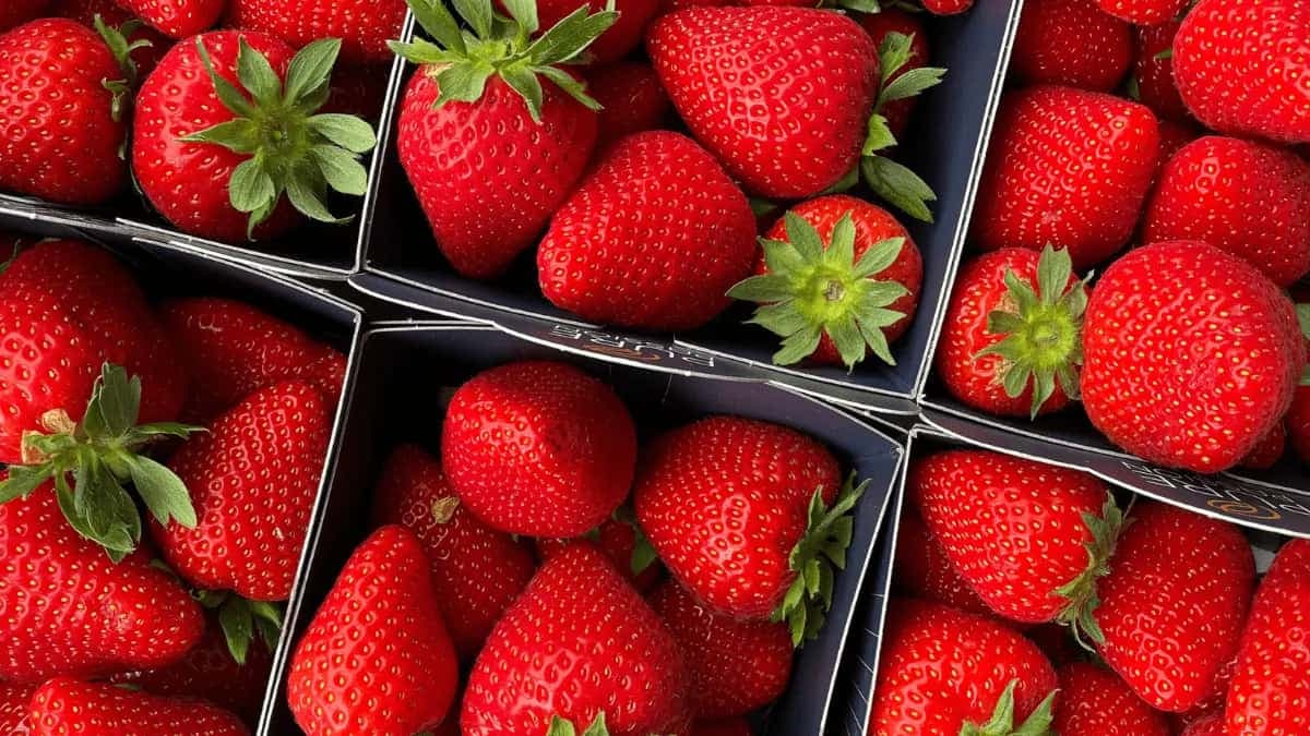 6 Innovative Savoury Recipes To Use Strawberries In Cooking