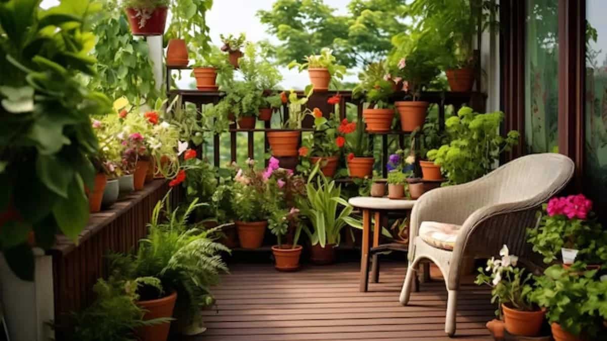 List Of Vegetables You Can Grow In Your Terrace Garden