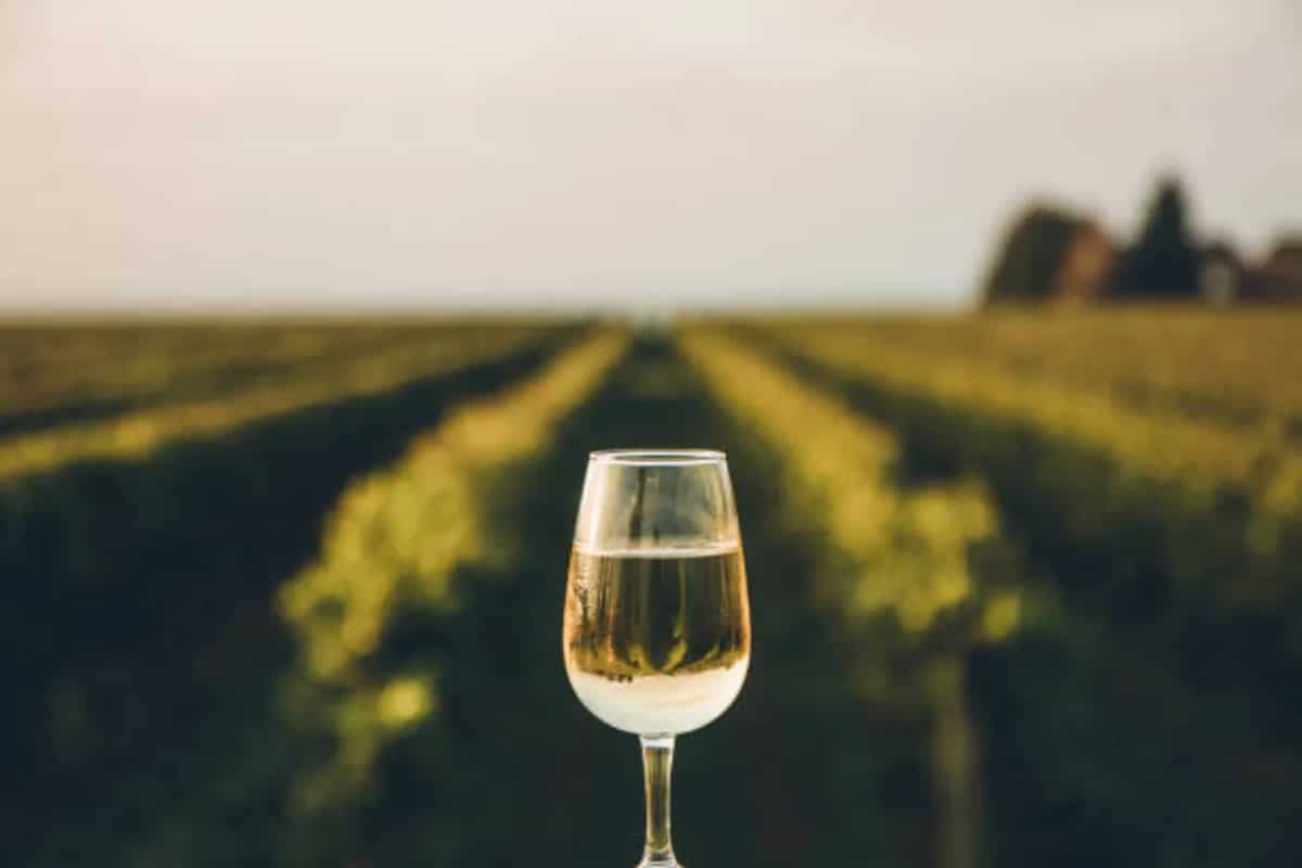 Ice Wine: A Popular Drink Dubbed As "Liquid Gold"