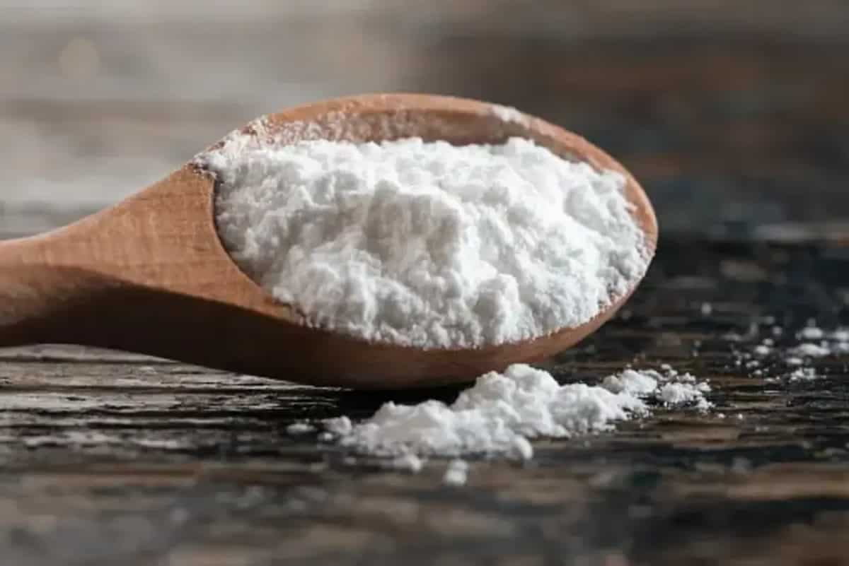 Stock Up On Top 6 Cornstarch Alternatives For Culinary Uses