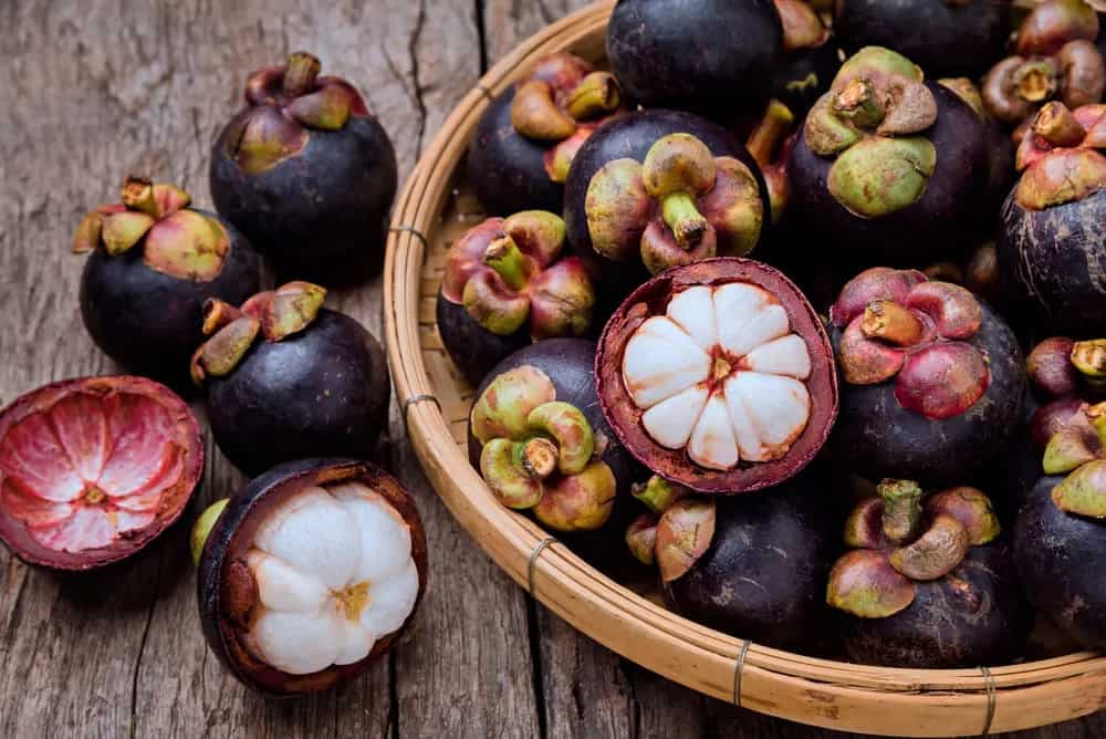 Mangosteen: Know About The Queen Of Fruits 