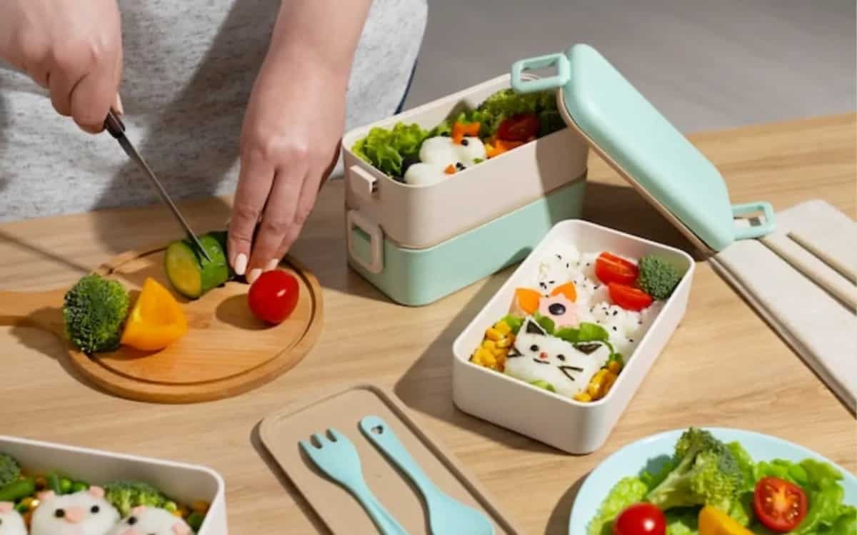 Top 5 Borosil Lunch Box To Enjoy Healthy Meals On-The-Go