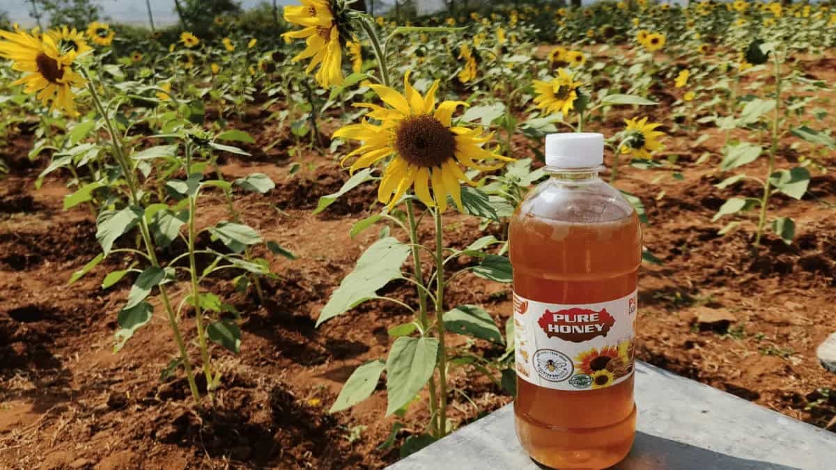 Araku Valise Flower Honey, A Tale Of Nature, Bees And Nectar