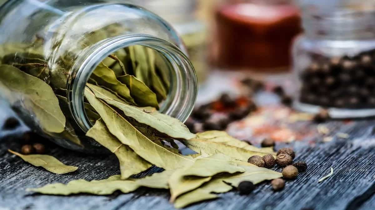 7 Reasons To Consume Bay Leaf Water In the Morning