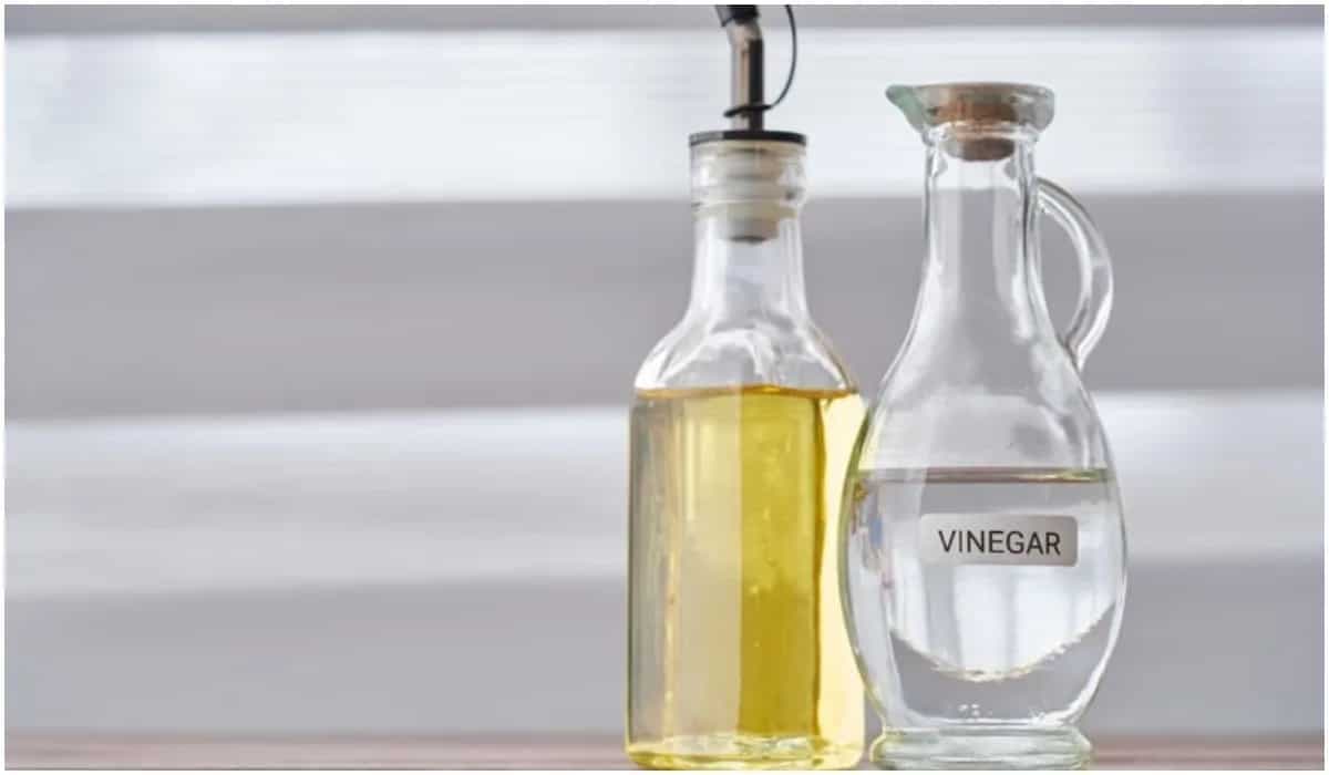 5 Kitchen Spots That You Can Effectively Clean With Vinegar