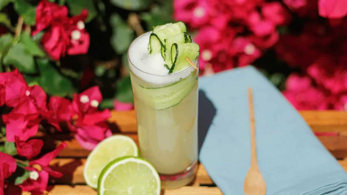 Feel Refreshed For Summer With These 5 Cucumber Cocktails